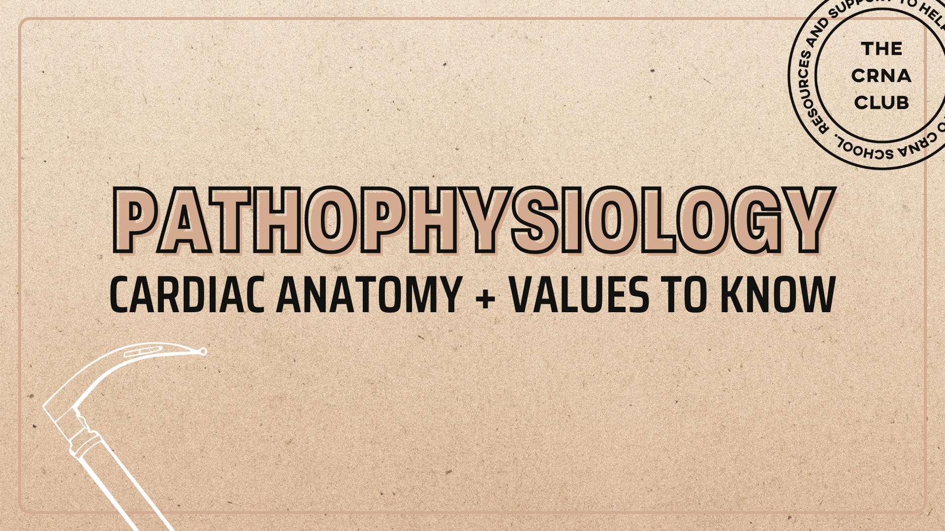 CARDIAC ANATOMY + VALUES TO KNOW