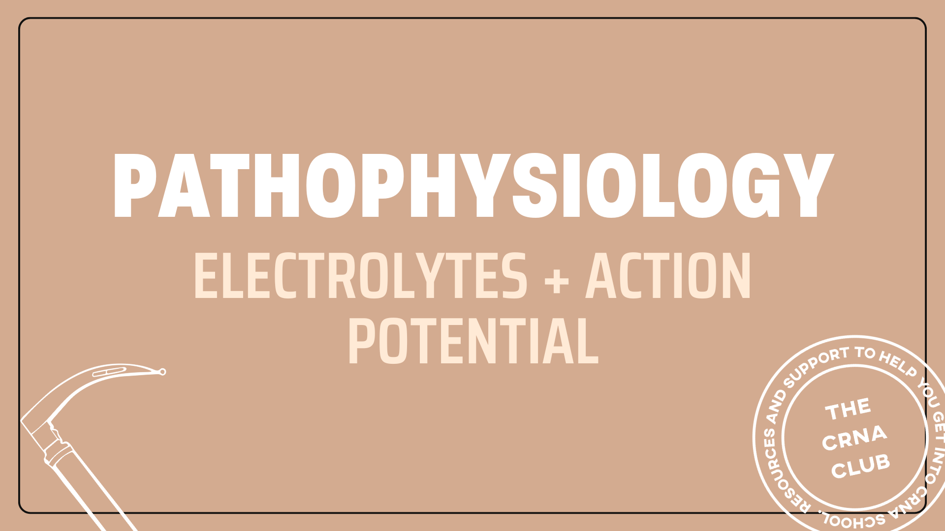 ELECTROLYTES + ACTION POTENTIAL