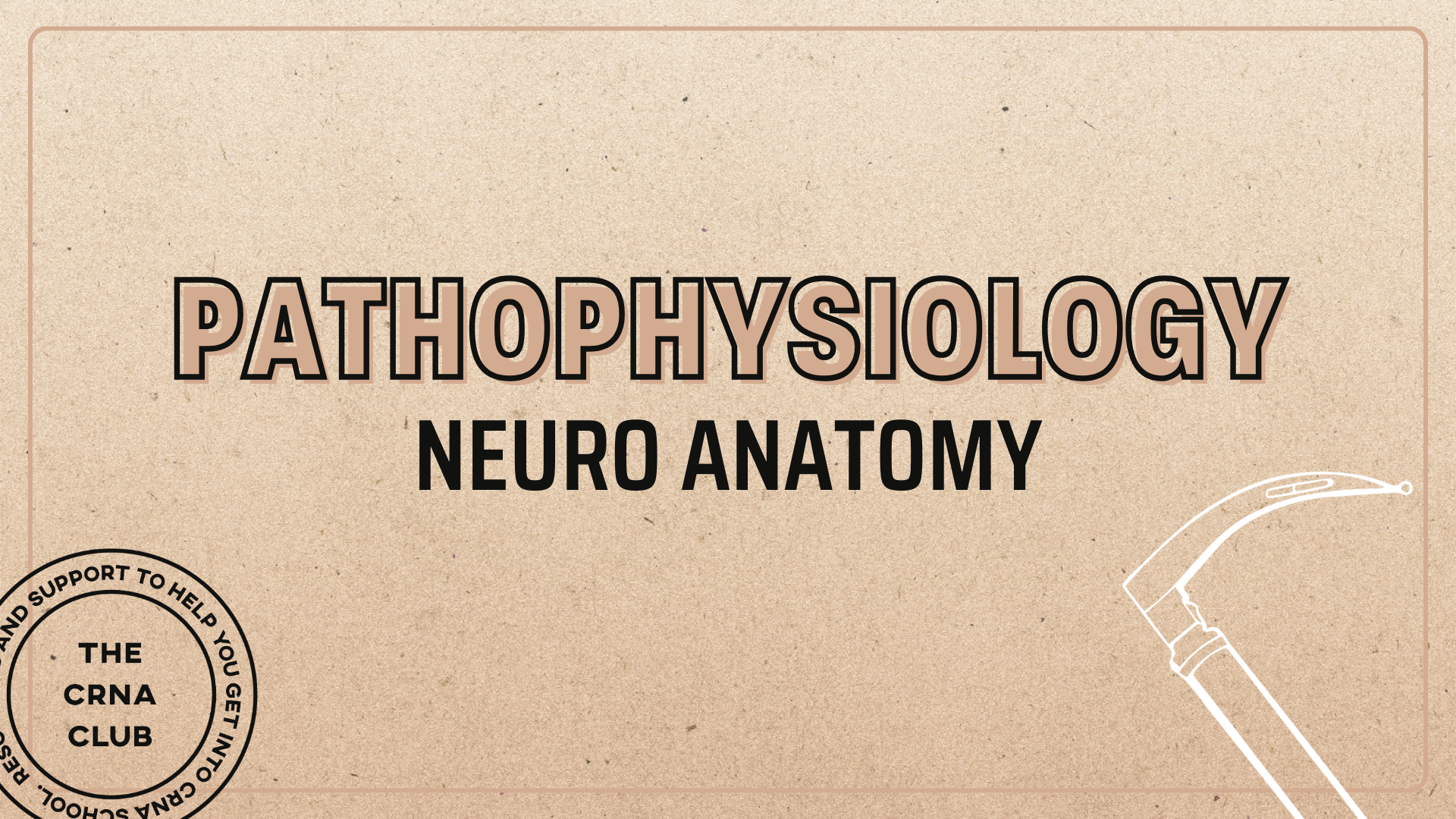 NEURO ANATOMY